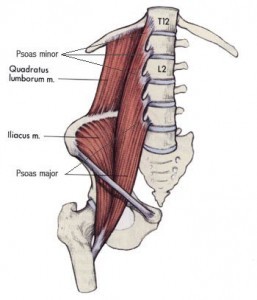 Psoas-257x300