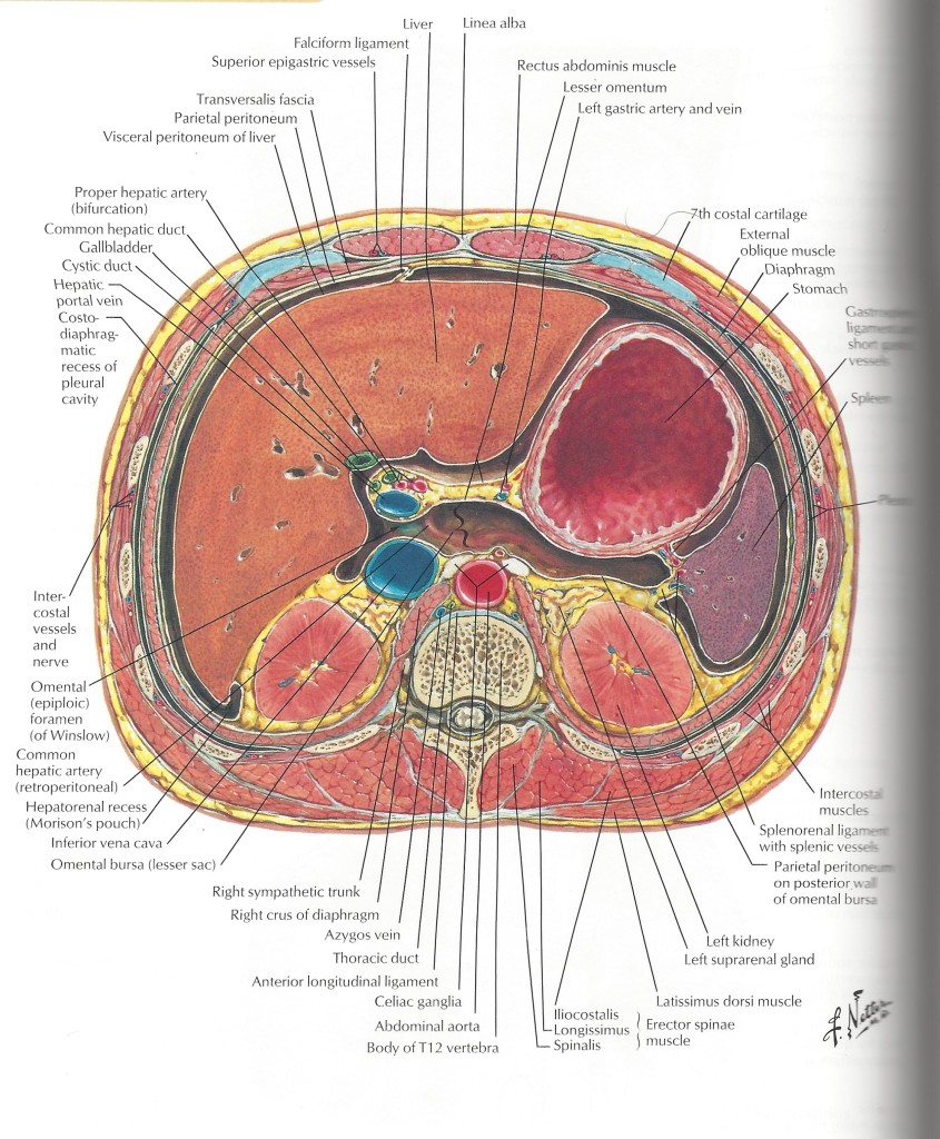 Blog | Arthur Kilmurray | Explorations in Yoga, the Re-Awakening of the ...